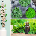 The Power of Combining Alternative Healing with Traditional Medicine